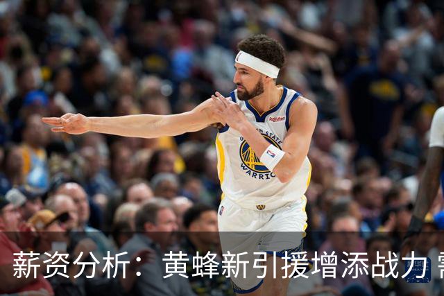 薪资分析：黄蜂新引援增添战力 需处理阵容过剩问题